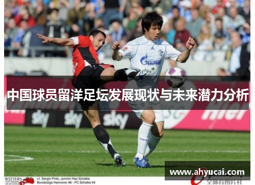 中国球员留洋足坛发展现状与未来潜力分析