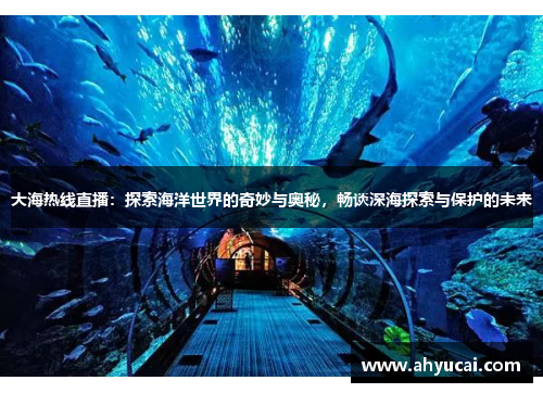 大海热线直播：探索海洋世界的奇妙与奥秘，畅谈深海探索与保护的未来