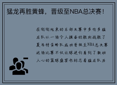 猛龙再胜黄蜂，晋级至NBA总决赛！
